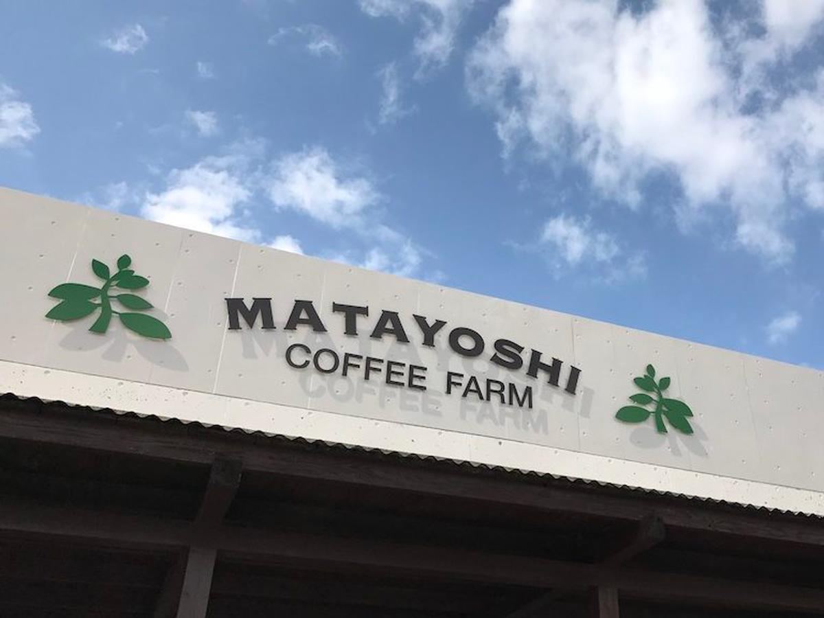 Villa Matayoshi Coffee Farm Higashi Exterior foto