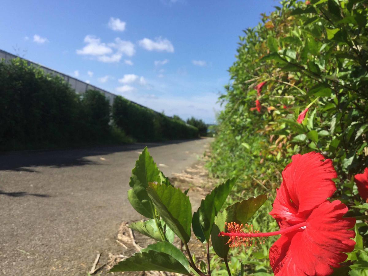 Villa Matayoshi Coffee Farm Higashi Exterior foto